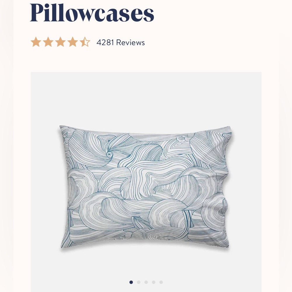 Brookelinen blue oyster pillow cases NWT